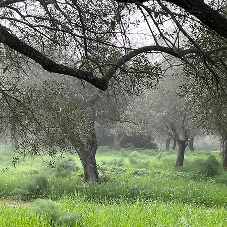 Muristene Pozzo Santa Cristina Paulilatino Εξωτερικό φωτογραφία