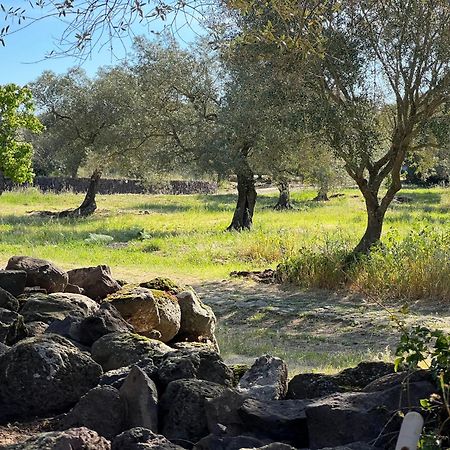 Muristene Pozzo Santa Cristina Paulilatino Εξωτερικό φωτογραφία
