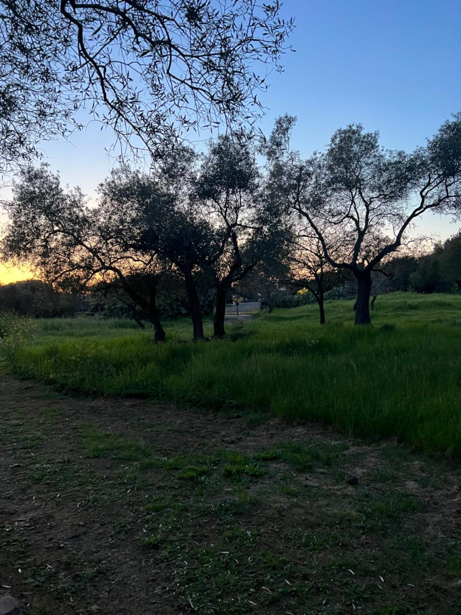 Muristene Pozzo Santa Cristina Paulilatino Εξωτερικό φωτογραφία