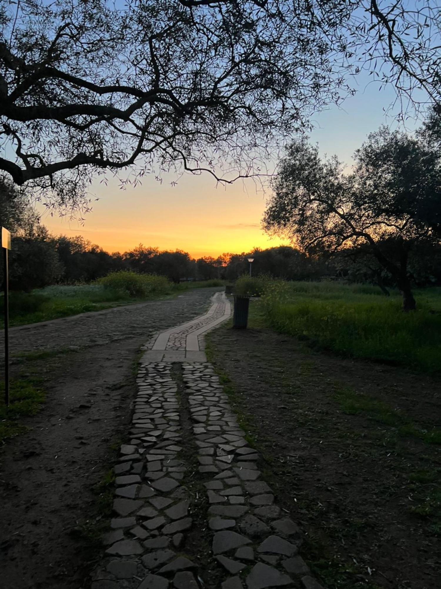 Muristene Pozzo Santa Cristina Paulilatino Εξωτερικό φωτογραφία