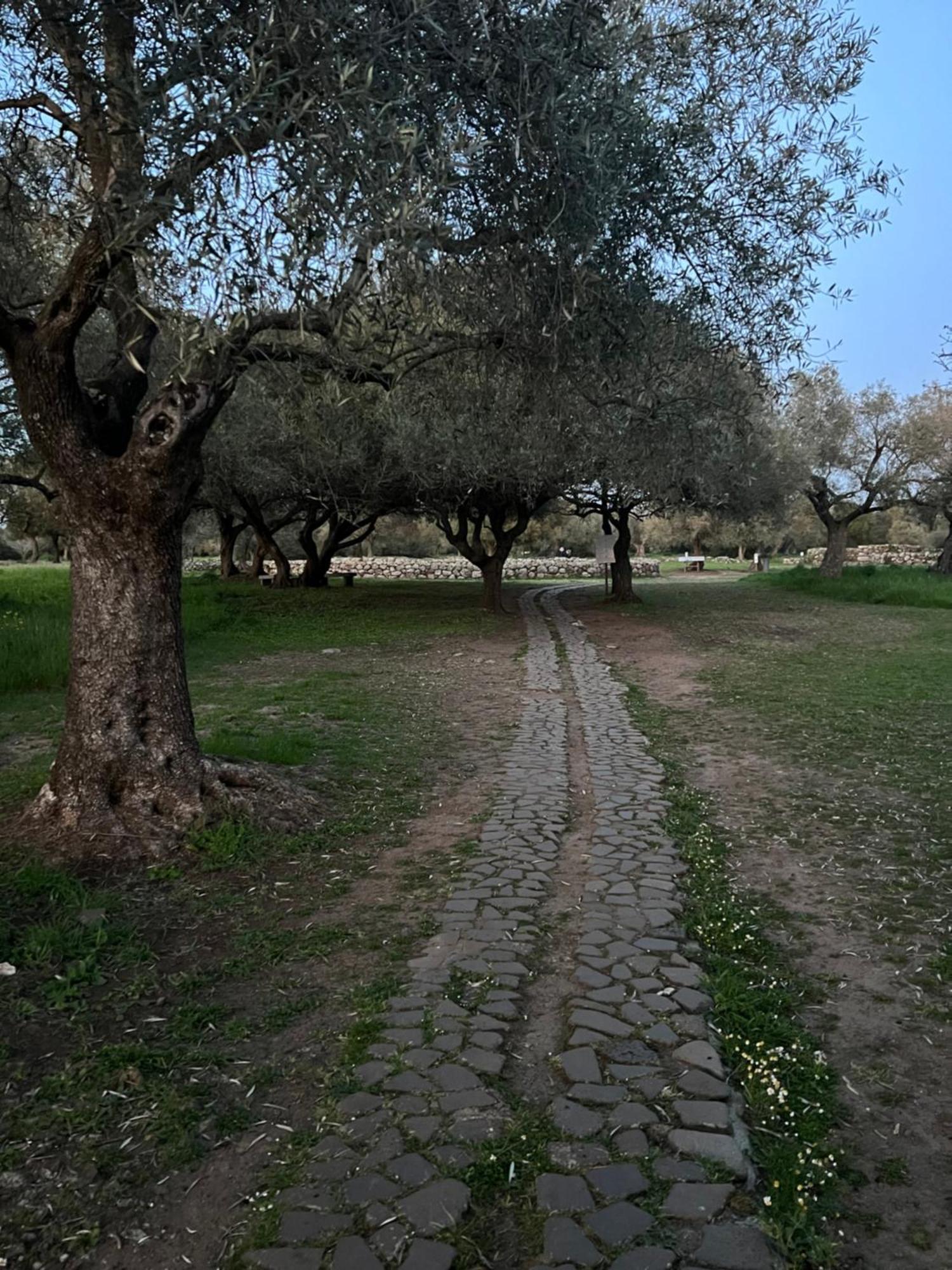 Muristene Pozzo Santa Cristina Paulilatino Εξωτερικό φωτογραφία