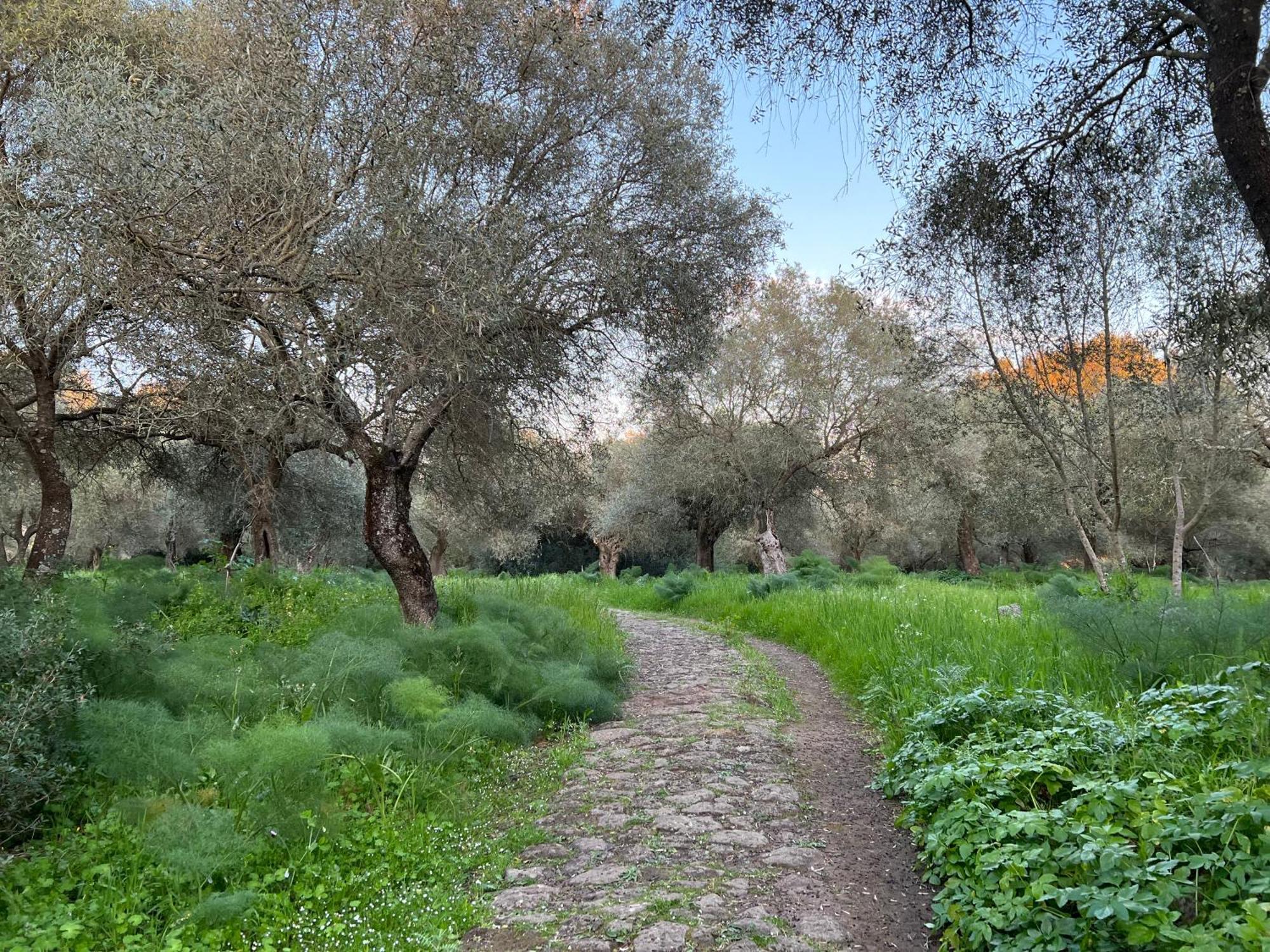 Muristene Pozzo Santa Cristina Paulilatino Εξωτερικό φωτογραφία