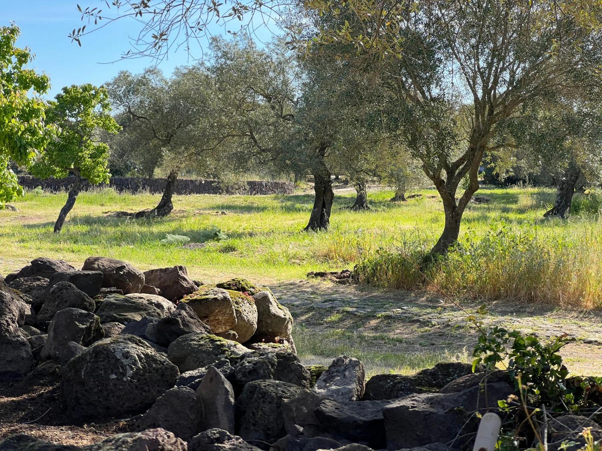 Muristene Pozzo Santa Cristina Paulilatino Εξωτερικό φωτογραφία